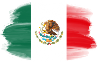 Mexico Flag Brushstroke  