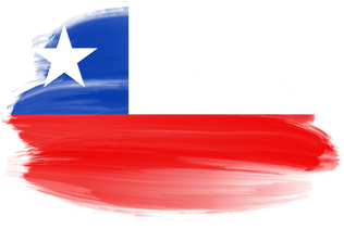 Chile Flag Brushstroke 
