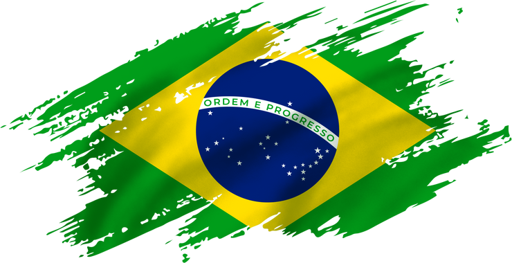 Realistic Brazil Flag
