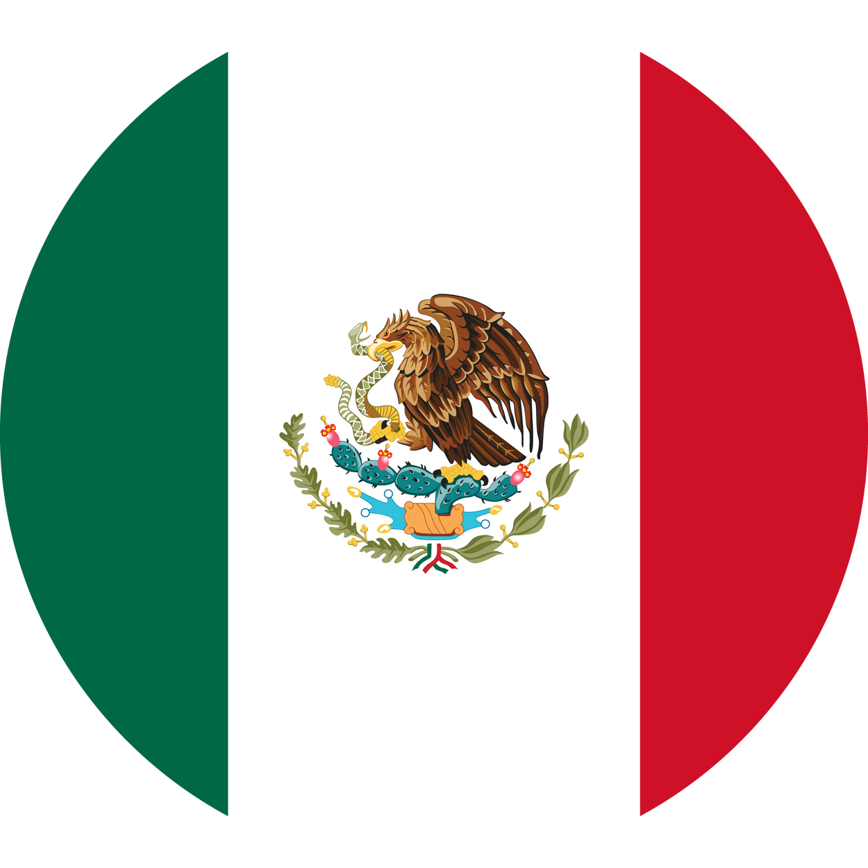 Mexico Flag Round Icon